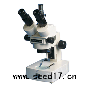 PXS-D �B�m׃���wҕ�@΢�R