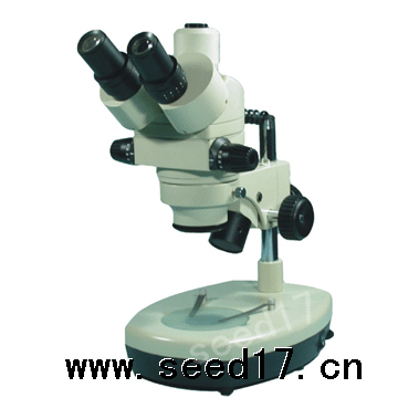 PXS-E �B�m׃���wҕ�@΢�R